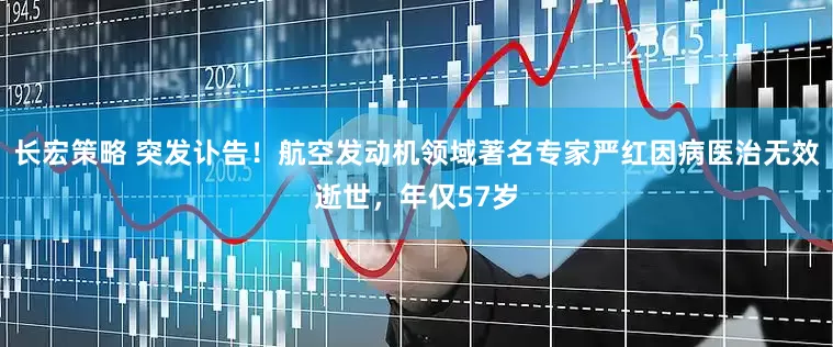 长宏策略 突发讣告！航空发动机领域著名专家严红因病医治无效逝世，年仅57岁